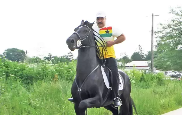 0-265862-nutu_camataru_calare