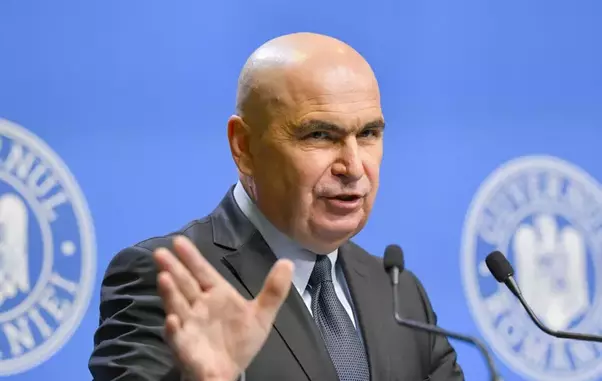 bolo