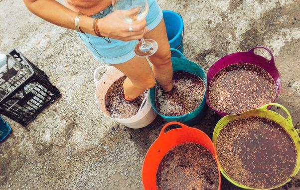 Cât de sănătos este mustul și când ar trebui evitat. Ce spun nutriționiștii