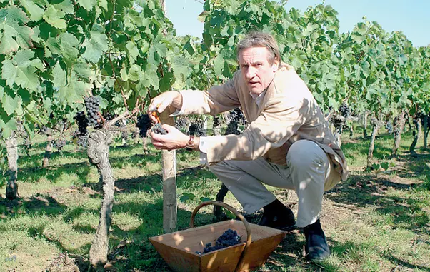 Gérard Depardieu este pasionat de viticultura, actorul având vii in Franta, Maroc, Italia, Argentina si Algeria.