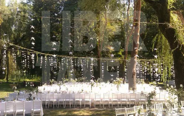 Laura Cosoi, nunta in decor de vis