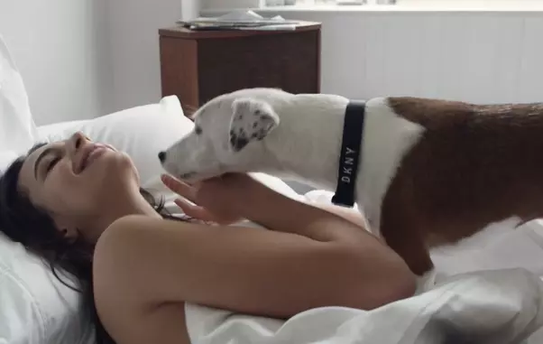 Emily’s sexy dog walk