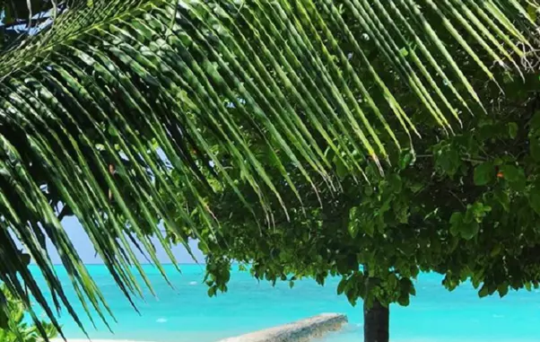 Andreea Bănică, vacanţă în Maldive