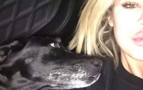 Cățelușa lui Khloe Kardashian a murit