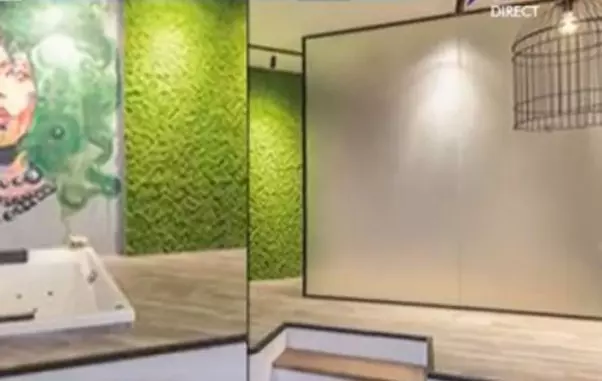 Imagini din casa Deliei Matache