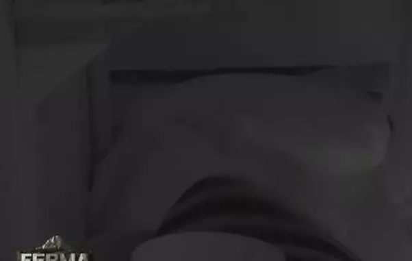 Diana Belbiță și Marius Crăciun sex la Ferma