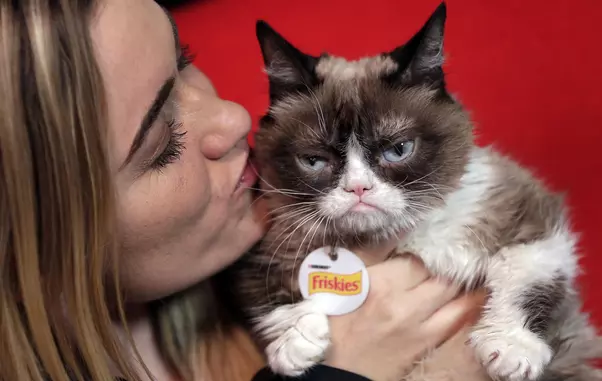 5a69c048d3806c1e8009ca17