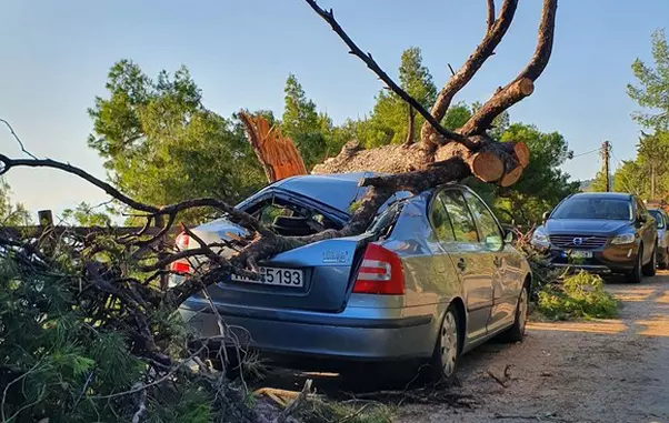 Raluca Moianu a postat o fotografie care arata dezastrul din Halkidiki