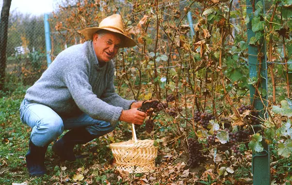 Dorel Vişan locuieşte la ţară