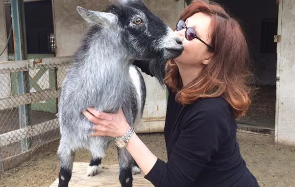 Victoria Principal şi-a deschis o fermă unde sunt salvate şi îngrijite animale