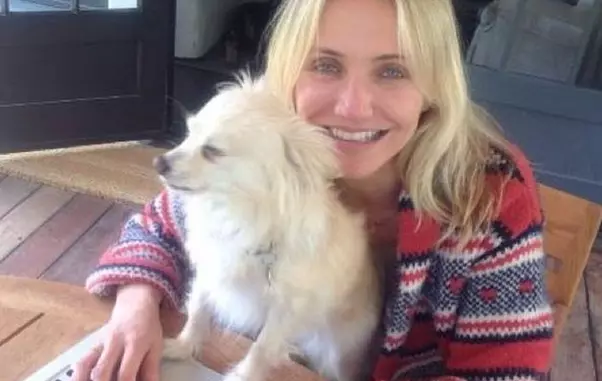 Cameron Diaz