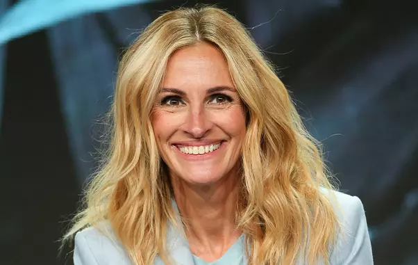 Amazon ‘Homecoming’ TV show panel, TCA Summer Press Tour, Los Angeles, USA – 28 Jul 2018