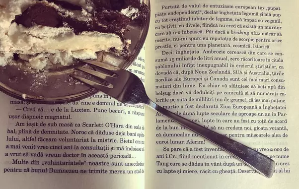 29740614_1300284173449144_4932365413666258944_n