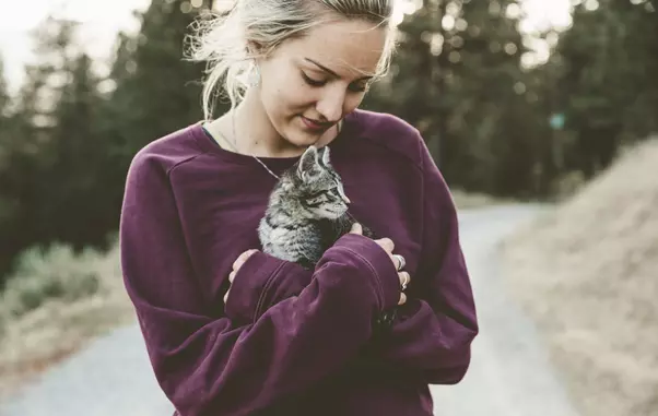 Animale-de-companie-coronavirus-1