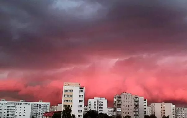 1foto-Raluca-Jipa-nori-roz