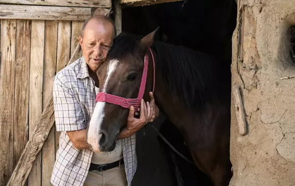 FOTO-Mihai-Stetcu_ADELA-26