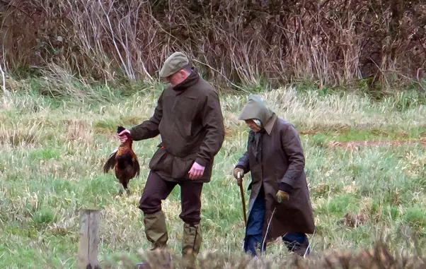 Familia-Regala-Vanatoare7