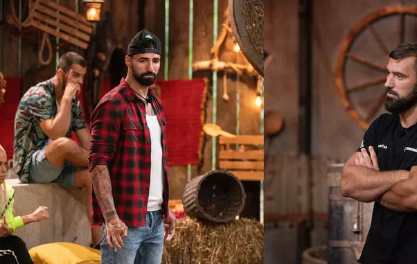 Andrei-Stoica-Ferma-1