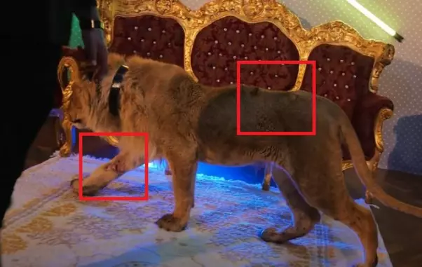 aD0yOGVjNDk1N2M1ZWY2MjRlODQ2OGRiOTZjOTJkYmY2Mg==.thumb