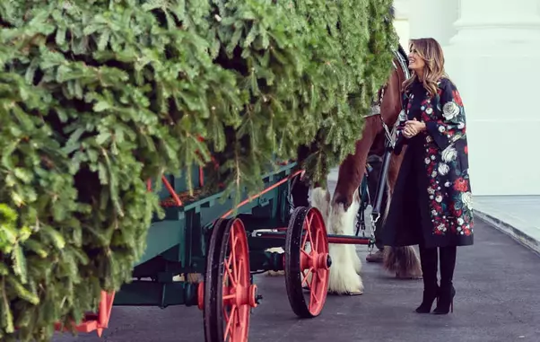 126169044_1058805761255350_3667468839583692996_n