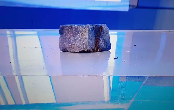 162497404_435544634187995_2747419613998251667_n