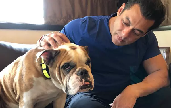 Iulia-Vantur-intre-dorul-de-casa-si-viata-de-superstar-din-India-