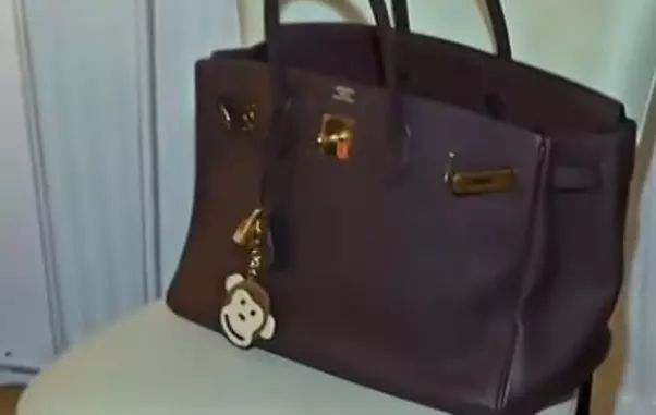 delia-matache-geanta-de-zece-mii-de-euro-0