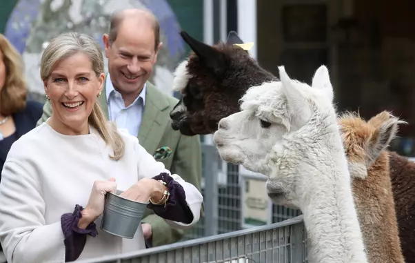 The Earl And Countess Of Wessex Visit Vauxhall City Farm