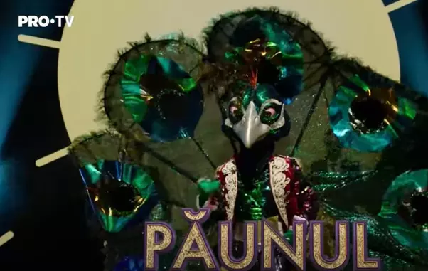 paunul-1