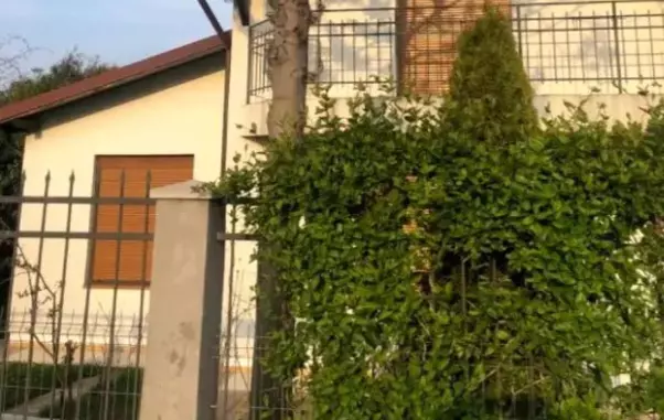 Vila-Alexandru-Arsinel-1