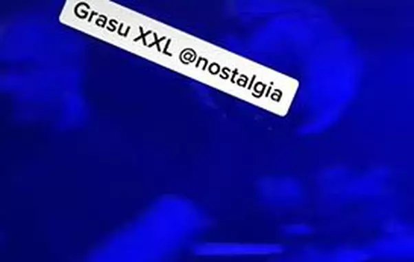 grasu-xxl-1