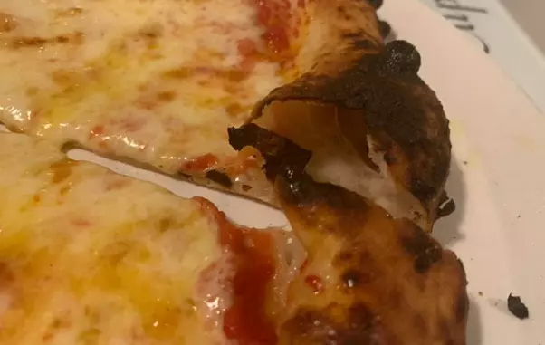 121508994_4006178456066019_5113766307346521360_n