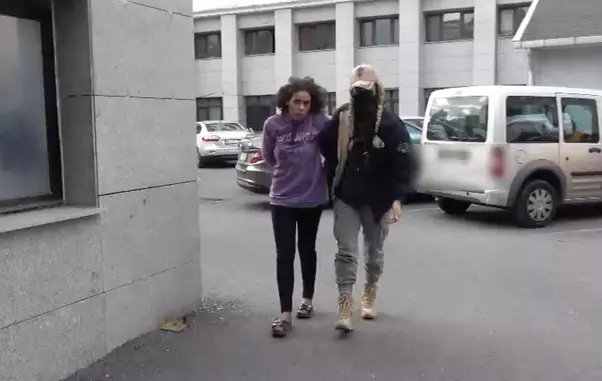 Person behind Istanbul deadly terror attack arrested