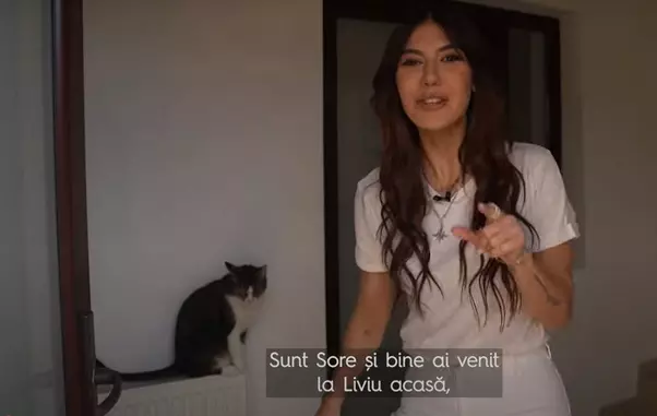 casa-lui-liviu-teodorescu-1