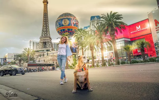 84044783_1748321915299328_328279189545287680_n