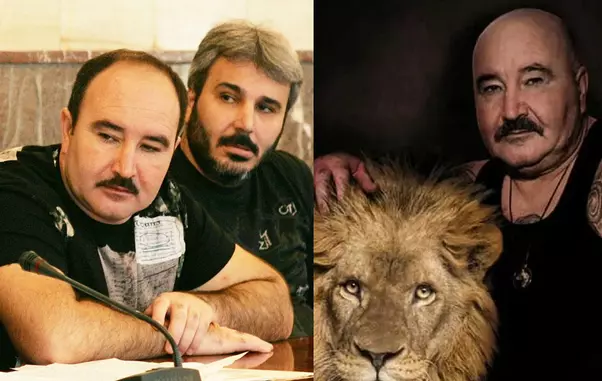 colaj fratii camataru
