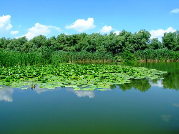 P Sejur Relaxant In Delta Dunării De La Numai 399 Lei De Persoană Advertorial Libertatea Pentru Femei