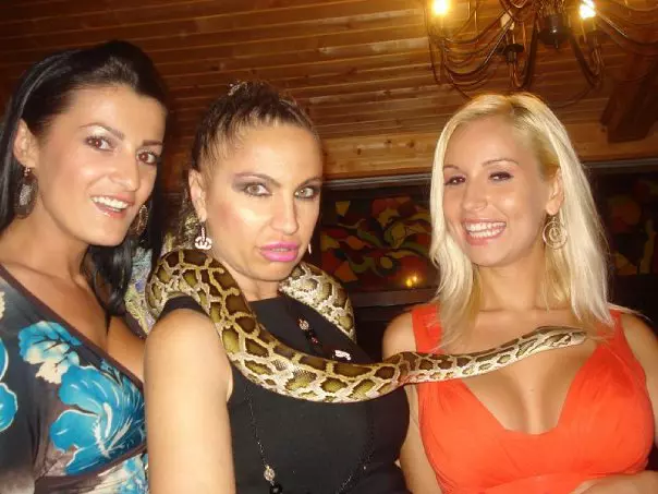 18541_104484326243267_4680144_n