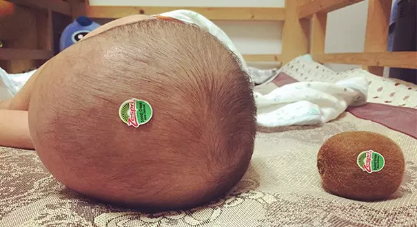 kiwi