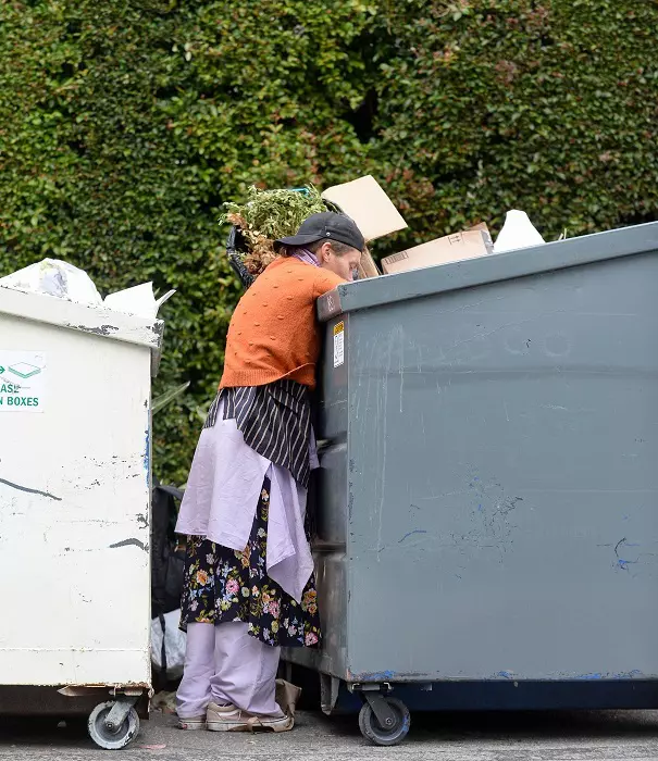 EXCLUSIVE: Loni Willison is seen dumpster diving