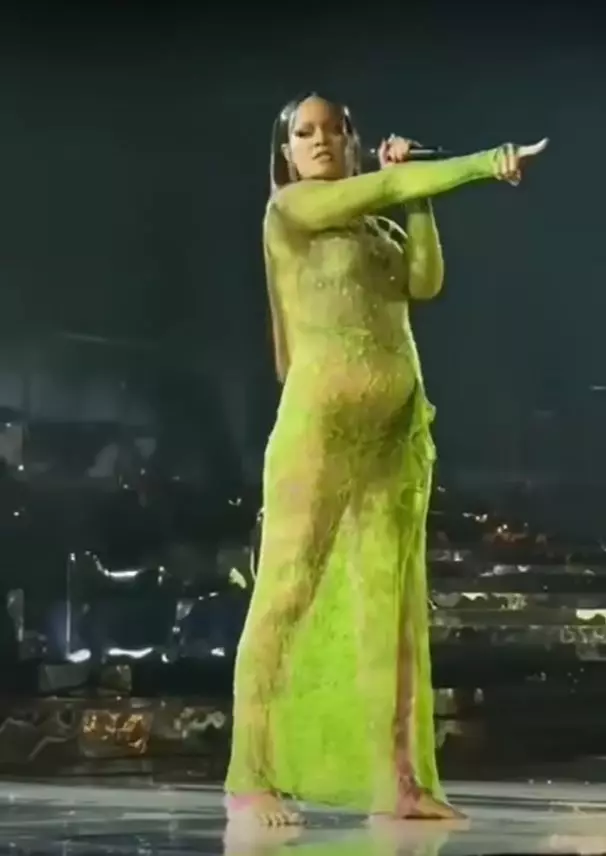 Rihanna, criticată dur după ce a cântat la petrecerea celui mai bogat om din India. Ce sumă enormă de bani a primit artista (2)
