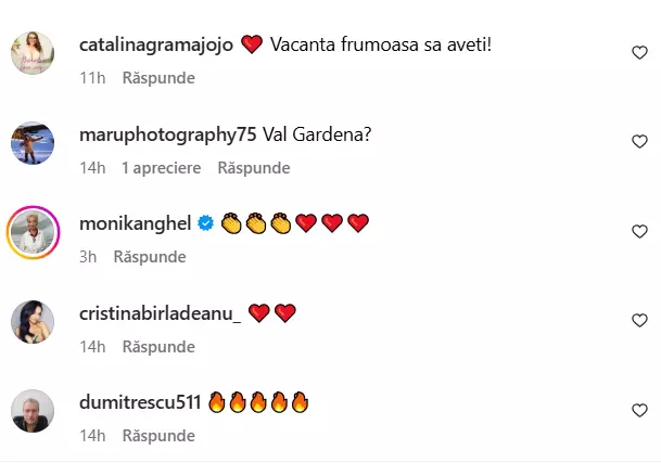 reactii la postarea Monicai Birladeanu