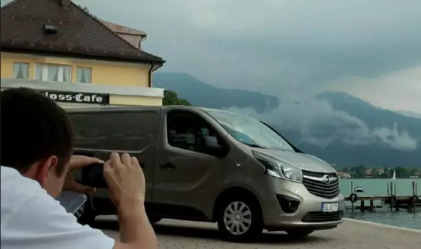 giurgea si bratu vivaro