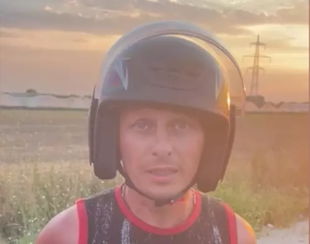 agresorul margheritei