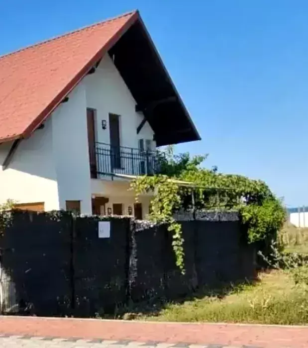 vila-alexandru-arsinel