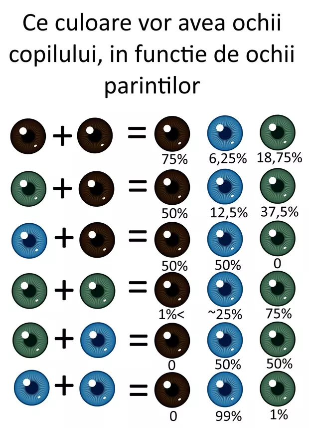 Cum va arata copilul, in functie de trasaturile parintilor