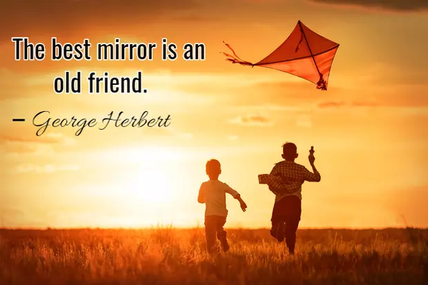 Citate despre prietenie in engleza