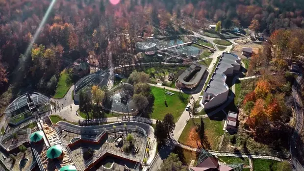 Locuri de vizitat in Brasov-Gradina Zoologica