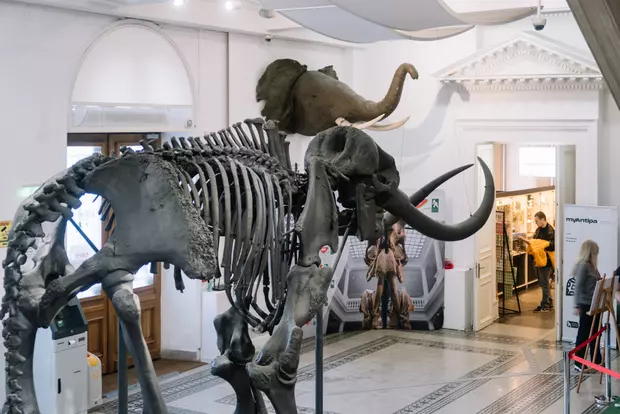 Locuri de vizitat în București cu copiii - Muzeul Grigore Antipa