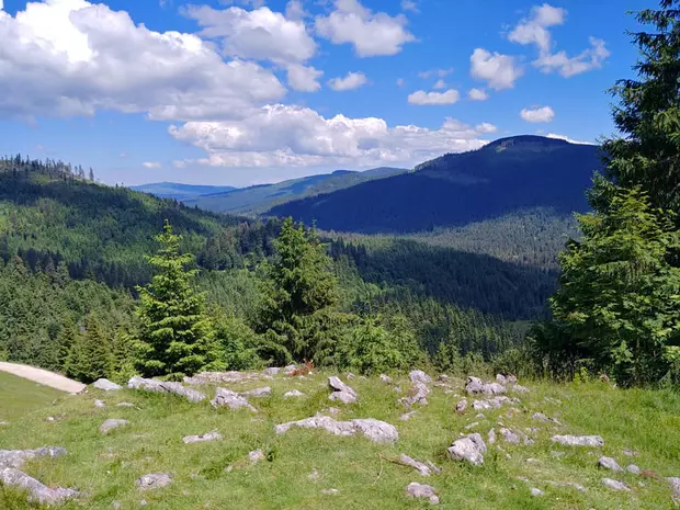 Locuri de vizitat în România cu copiii - Parcul Natural Apuseni